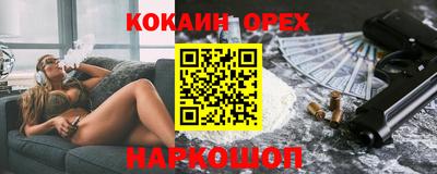 a pvp Гатчина