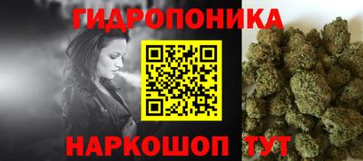 хмурый Гусь-Хрустальный